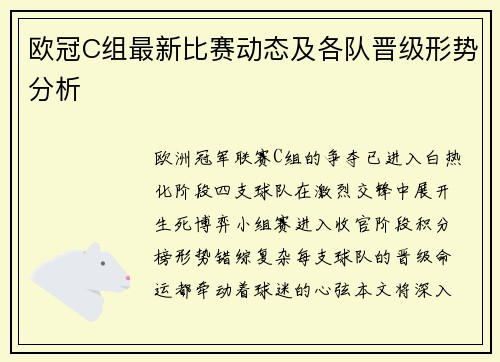 欧冠C组最新比赛动态及各队晋级形势分析