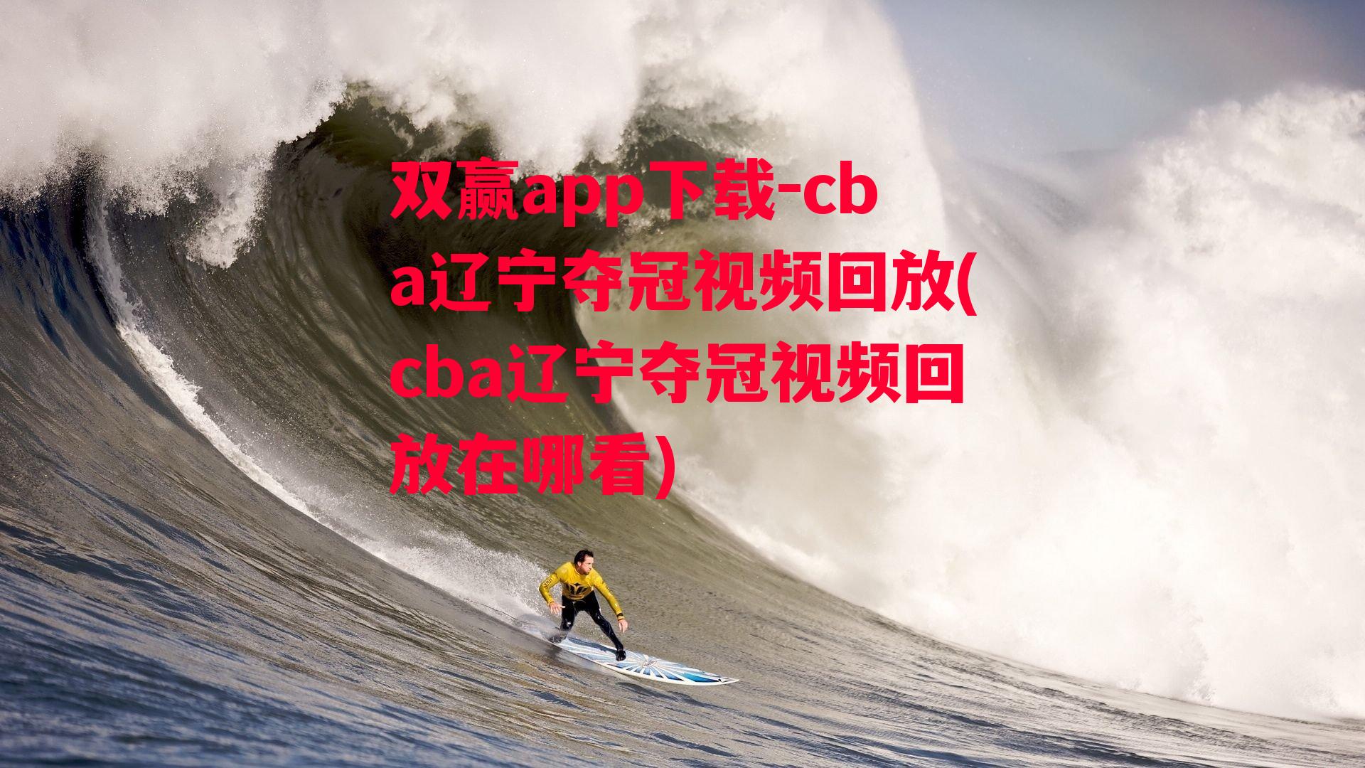 cba辽宁夺冠视频回放(cba辽宁夺冠视频回放在哪看)